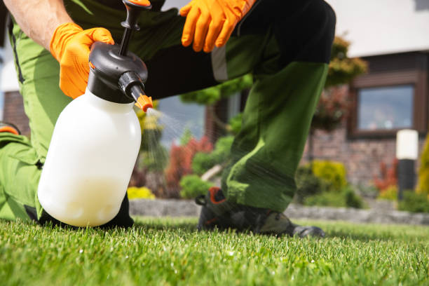 Best Wildlife Control Services  in Clton, IN