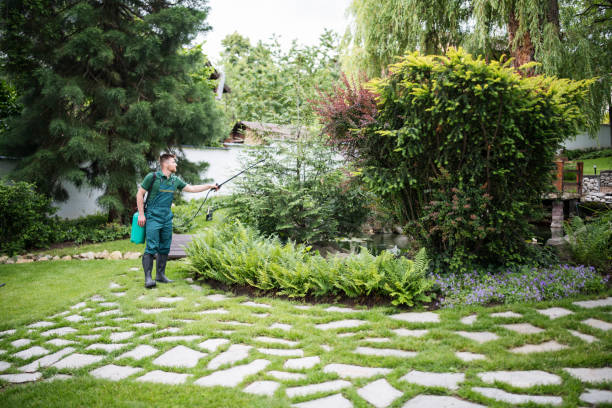 Best Pest Control Near Me  in Clton, IN