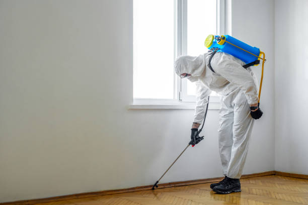 Best Pest Inspection Near Me  in Clton, IN