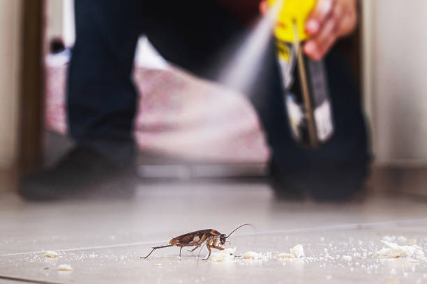 Best Cockroach Control Services  in Clton, IN