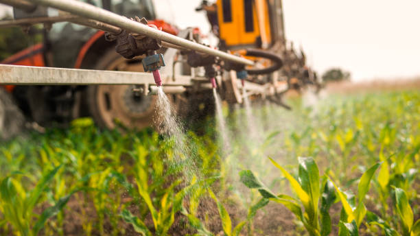 Pest Prevention Services in Clinton, IN